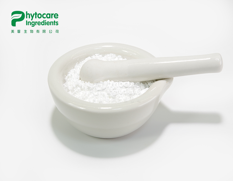 Honeysuckle Flower Extract Powder